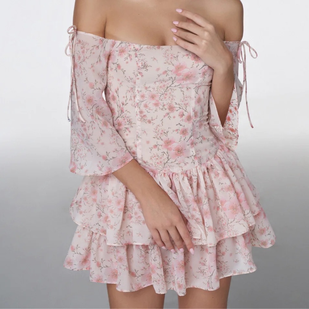 NWT ADEIRLINA Eleonora Mini Dress